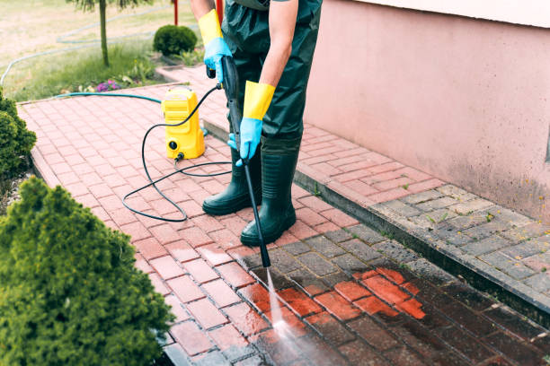 Best Roof Washing  in Fresno, TX